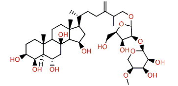 Antarcticoside M